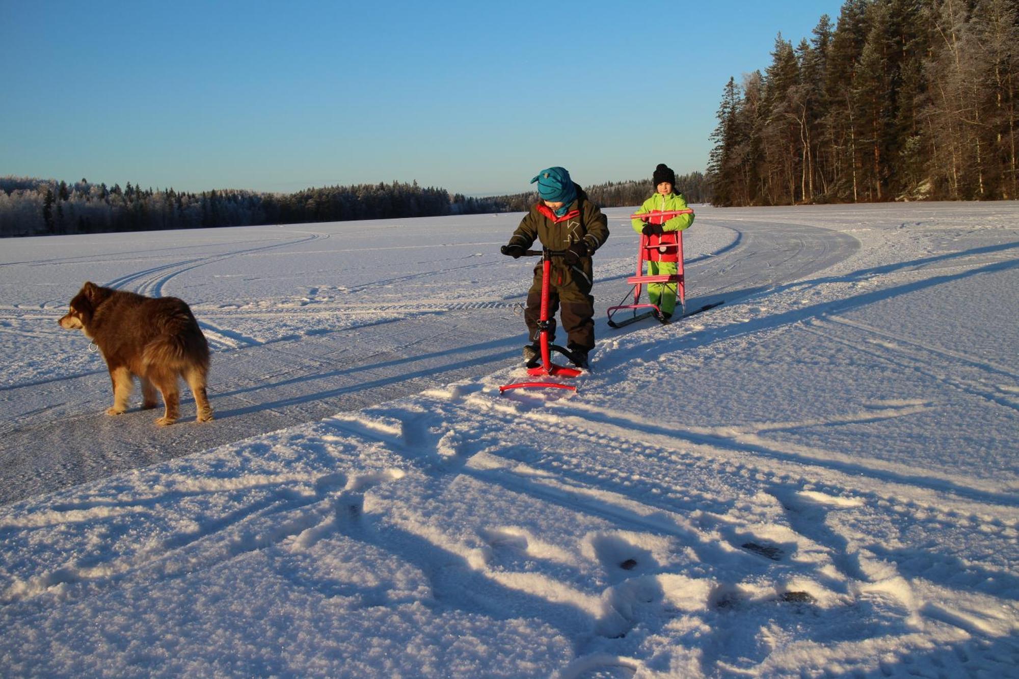 Huvilaranta Villas Isojärvi 部屋 写真