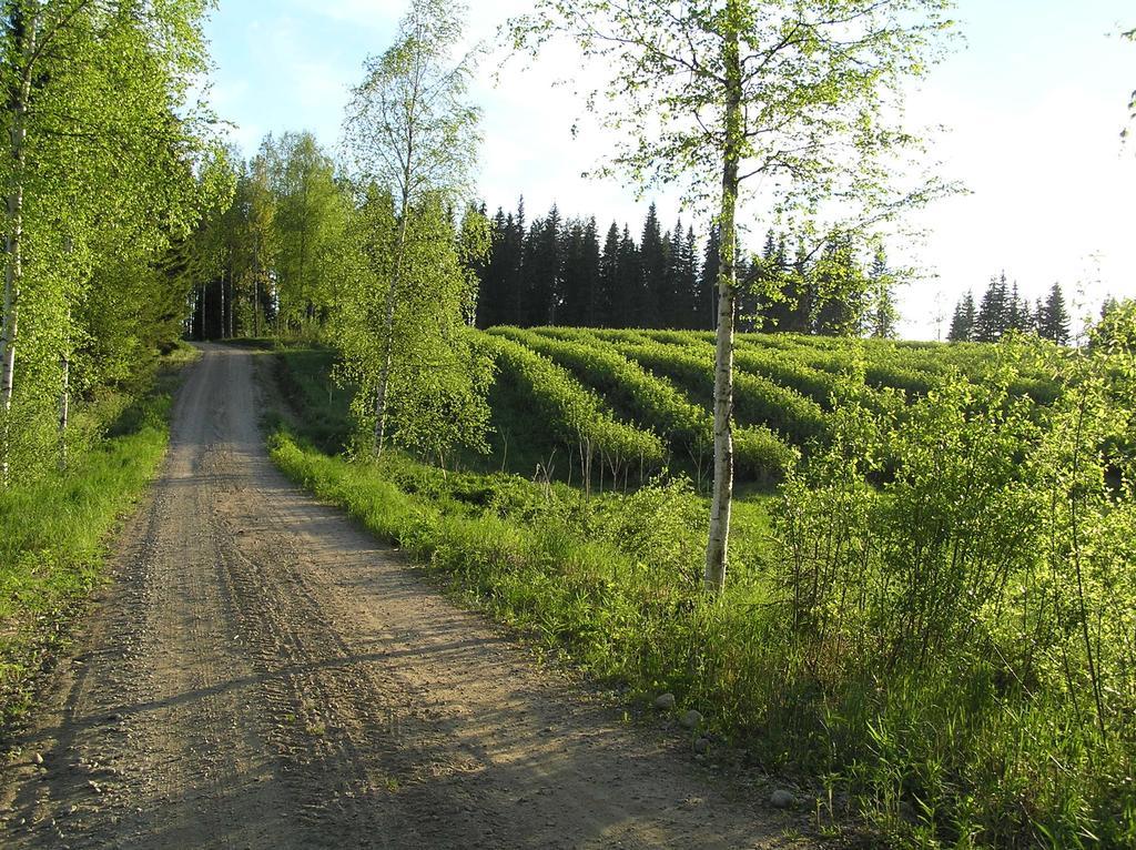 Huvilaranta Villas Isojärvi 部屋 写真