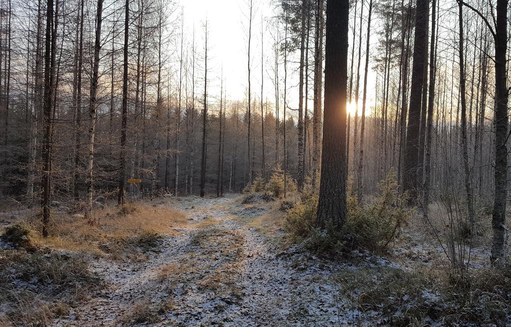 Huvilaranta Villas Isojärvi エクステリア 写真