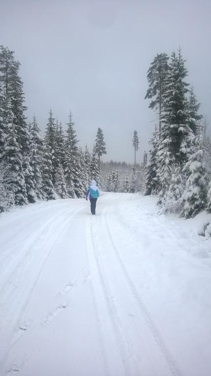Huvilaranta Villas Isojärvi エクステリア 写真