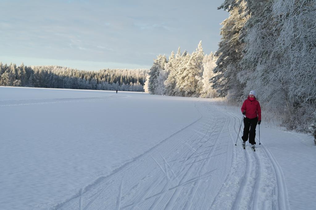 Huvilaranta Villas Isojärvi エクステリア 写真